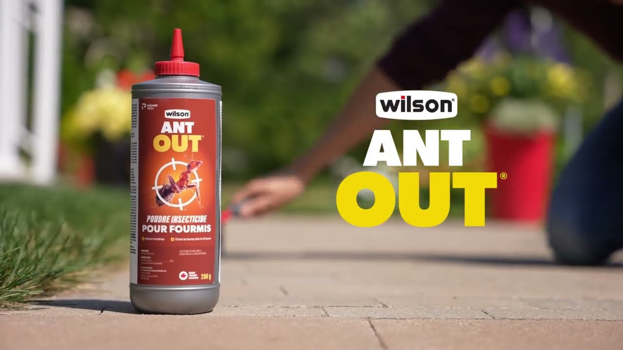Comment utiliser la poudre insecticide pour fourmis ANT OUT de Wilson