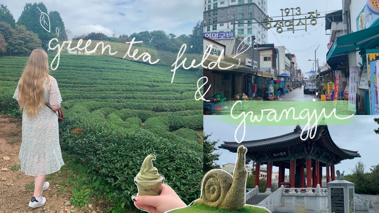gwangju & boseong green tea field 🍵✨ korea diaries 008