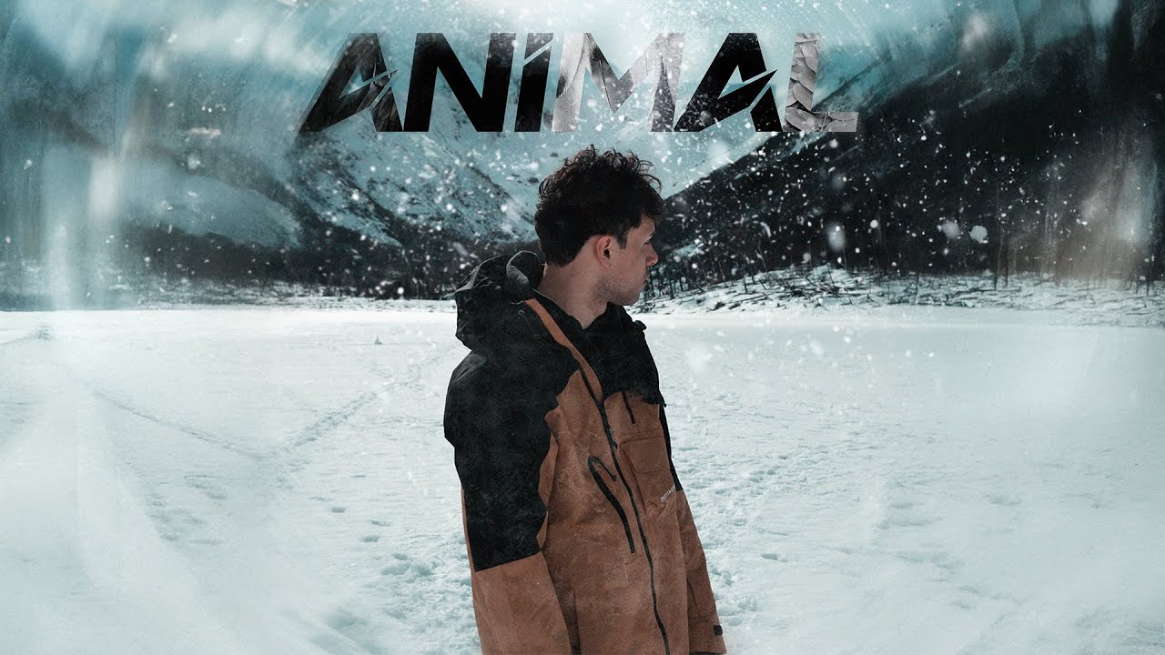 TIZAN - ANIMAL (Official Video)