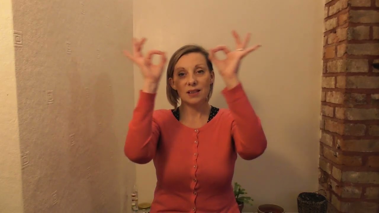 Silent night - TUTORIAL BSL SSE Signed song