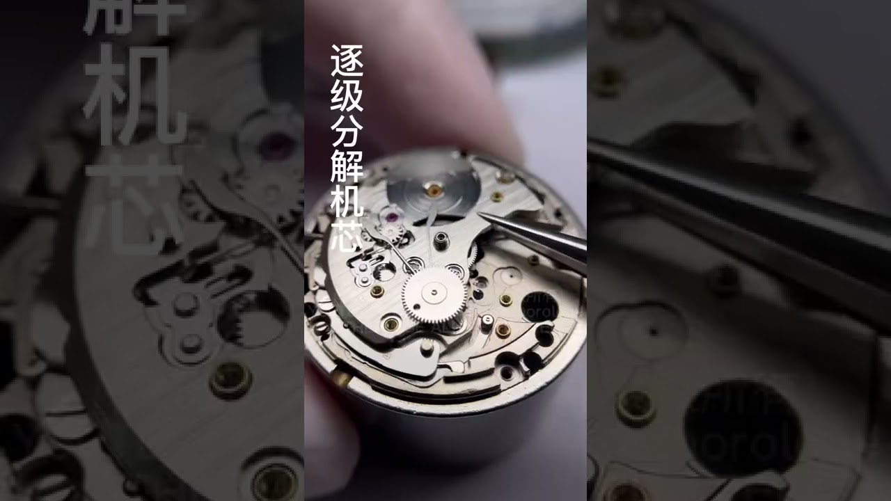 When a SEIKO equipped with an ENAMEL DIAL