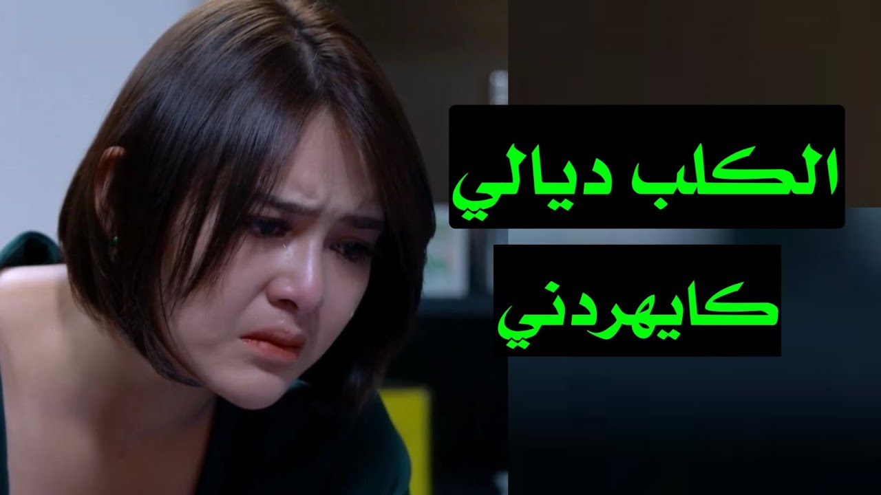 الكلب ديالي شنو دوز عليا