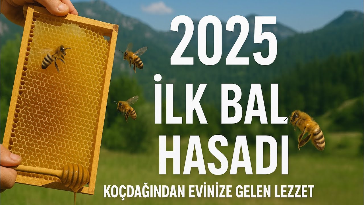 Dağların Çiçeklerinden Sofranıza: Efsane Hakiki Bal Hasadı 🍯🌿