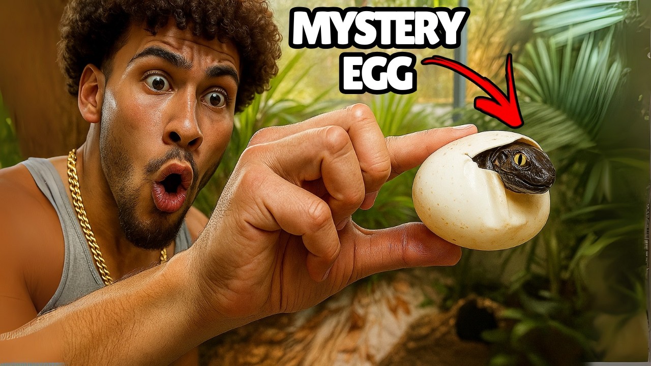 EXOTIC Reptiles Are MULTIPLYING In My BACKYARD JUNGLE ! (Full Reptile Collection Tour!)