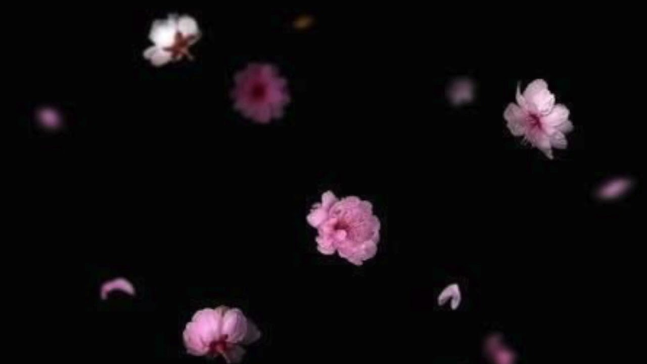 Giancarlo Cardini - ULTIMI FIORI, VERSO SERA (1993)