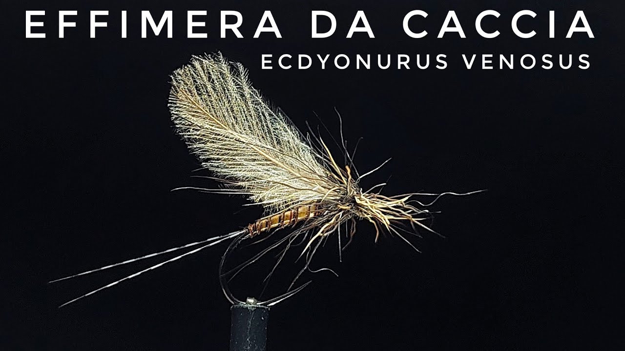 Costruzione mosca secca effimera da caccia 