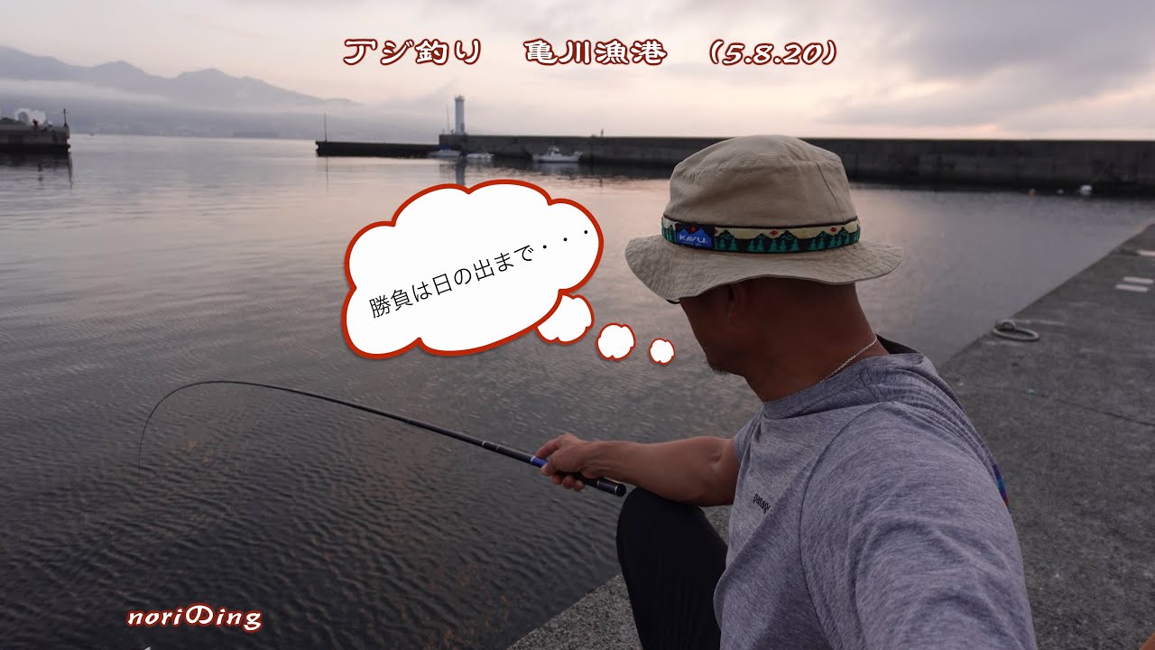 アジ釣り　亀川漁港 (5.8.20)