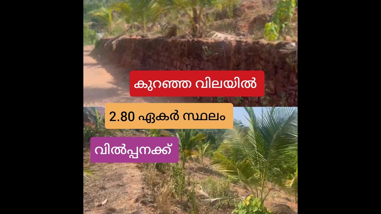 മലപ്പുറം ജില്ലയിൽ കുറഞ്ഞ വിലക്ക് 2.80 ഏക്കർ സ്ഥലം വിൽപ്പനക്ക്... അരീക്കോട് ,കാവനൂർ, പന്ത്രണ്ടിങ്ങൽ