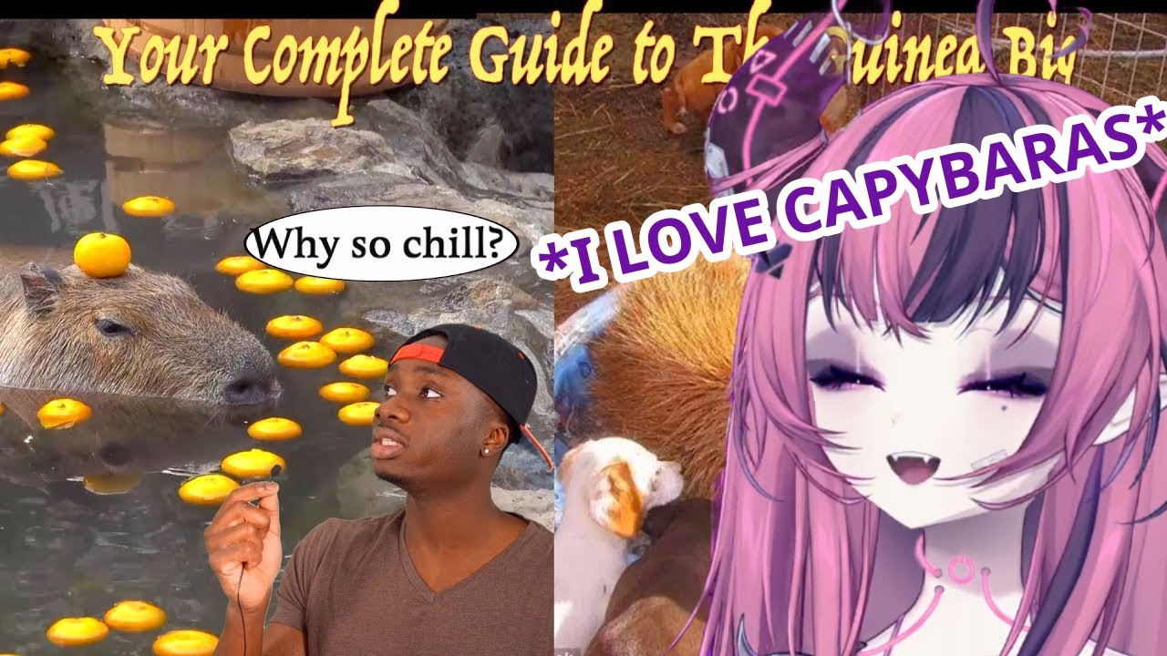 Ironmouse Reacts to Casual Geographic - The Science Behind the Unproblematic Nature of the Capybara