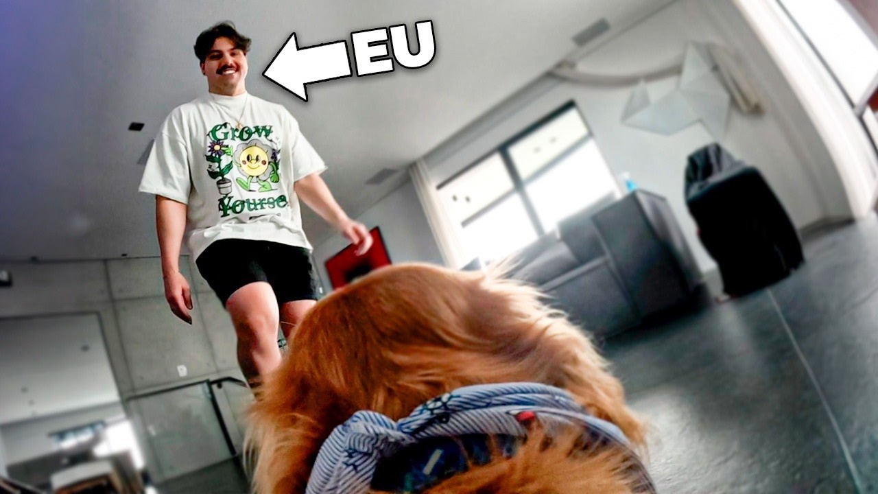 Instalei uma câmera no meu cachorro Beto pra descobrir o que ele faz sem mim