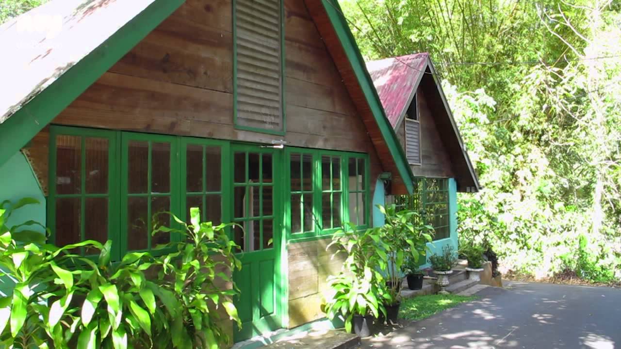 The Asa Wright Nature Centre