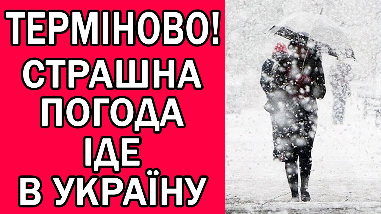 ПОГОДА НА ЗАВТРА 29 СІЧНЯ 2026 : ПОГОДА В УКРАЇНІ НА ЗАВТРА