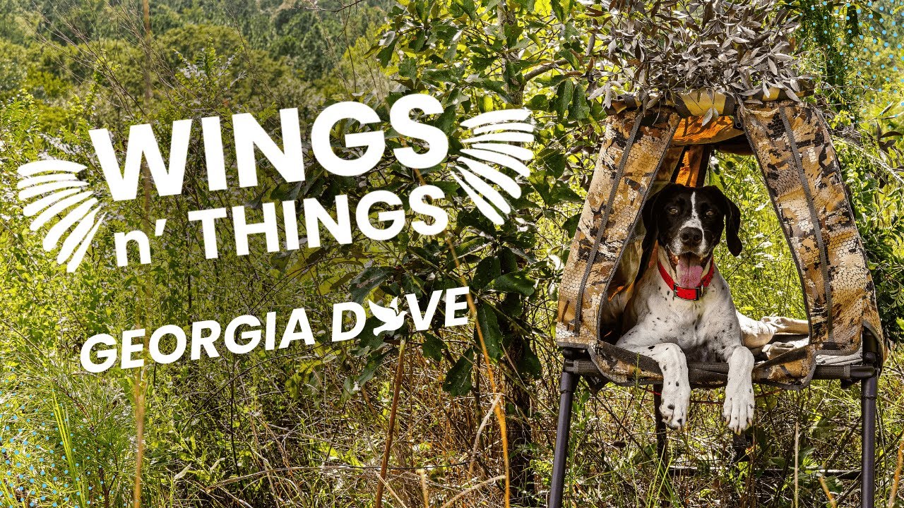 Georgia Dove | A Southern Tradition