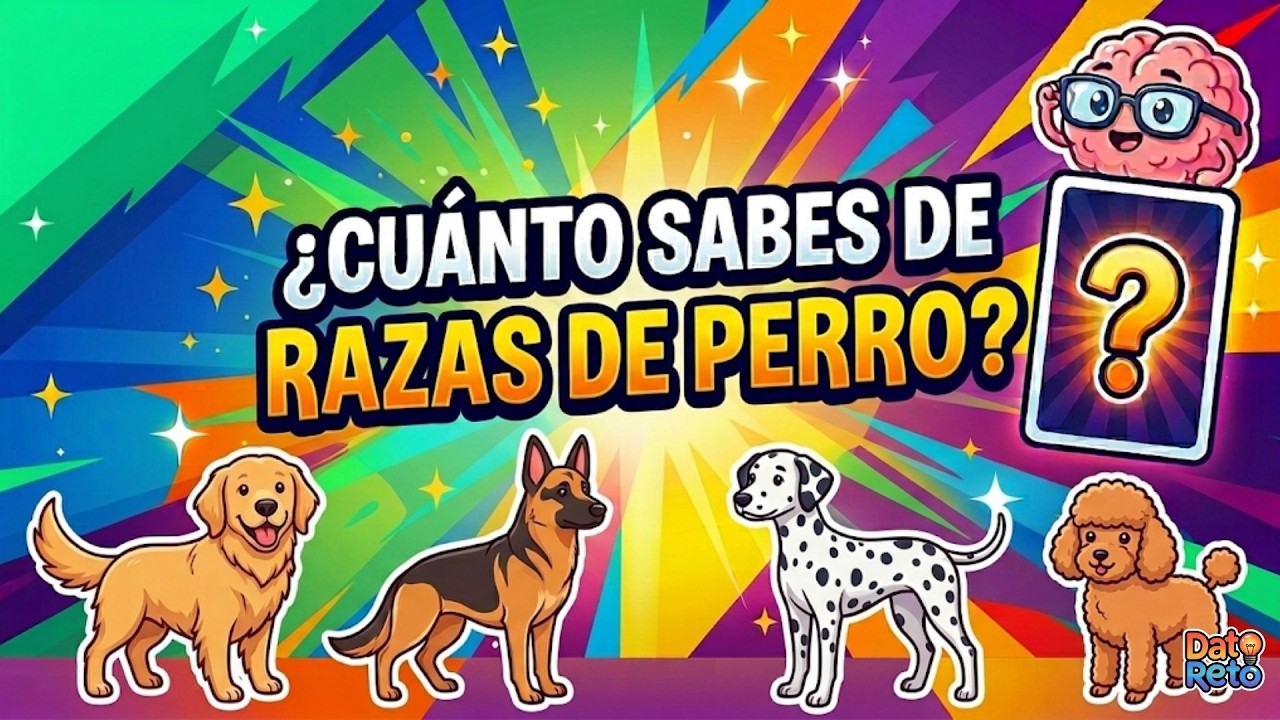 ¿Cuánto Sabes de Razas de Perro? | ¡Reto Canino! 30 Razas, ¿Cuántas reconoces? 🐶🐕