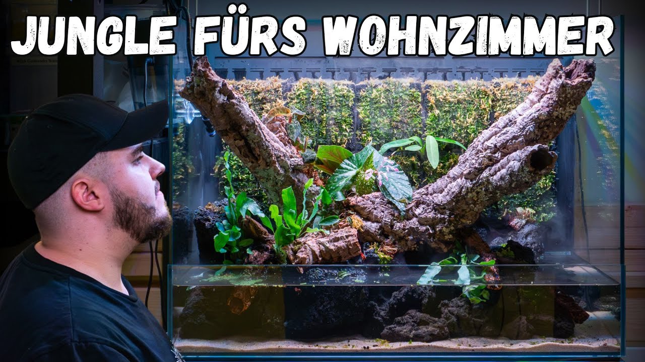 UNS Foresta 60 Paludarium einrichten!