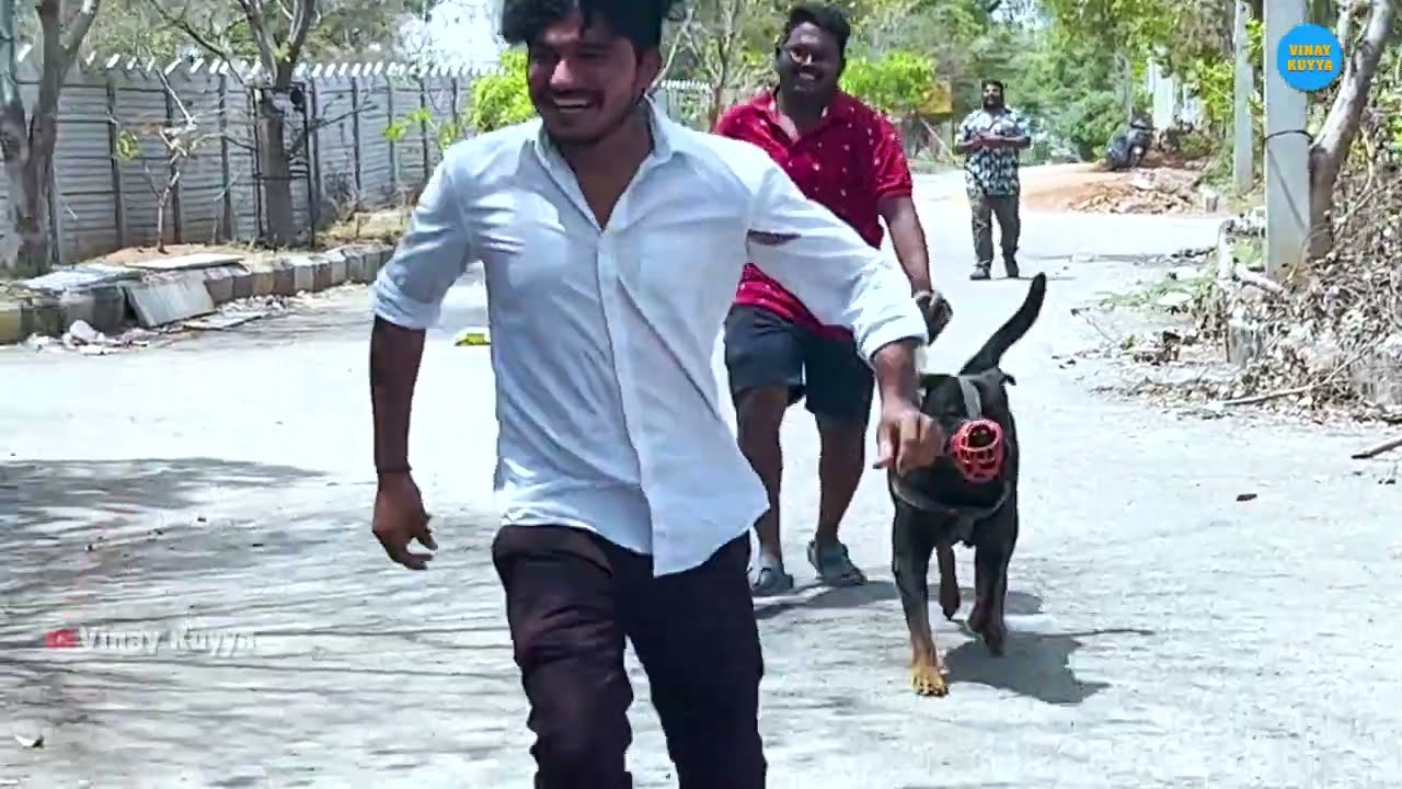 Revenge On Vinay Reserve On Gopal #dareseries
