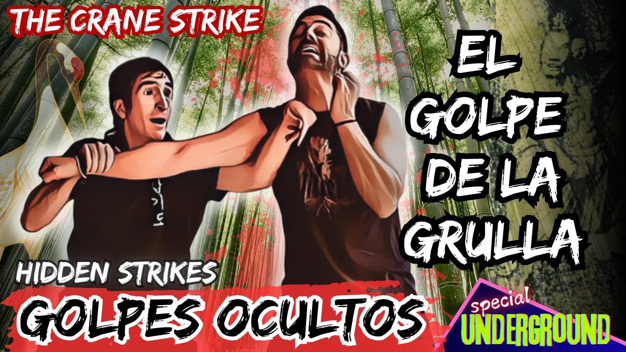BOXEO CHINO - GOLPES OCULTOS para la DEFENSA PERSONAL - Técnica de golpeo del HAPKIDO tradicional.