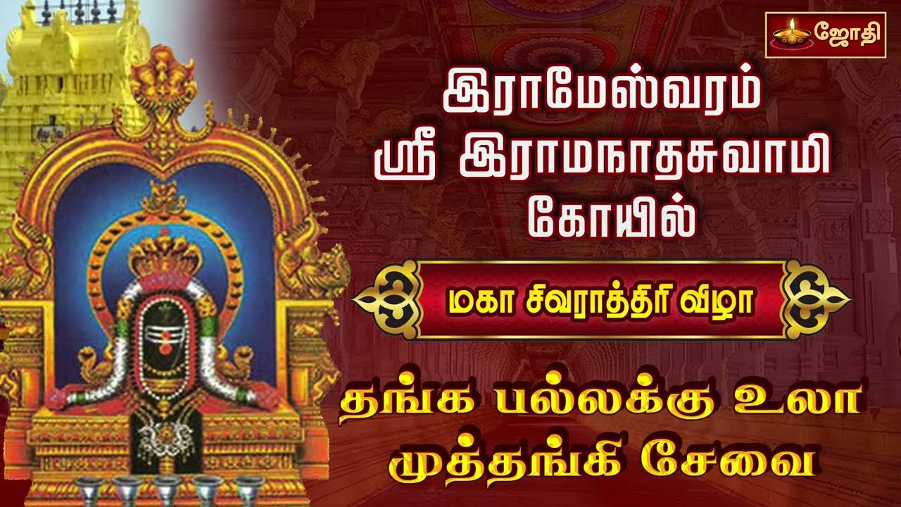 இராமேஸ்வரம் ஸ்ரீஇராமநாதசுவாமி கோயில் - மகா சிவராத்திரி விழா - தங்க பல்லக்கு உலா,முத்தங்கி சேவை