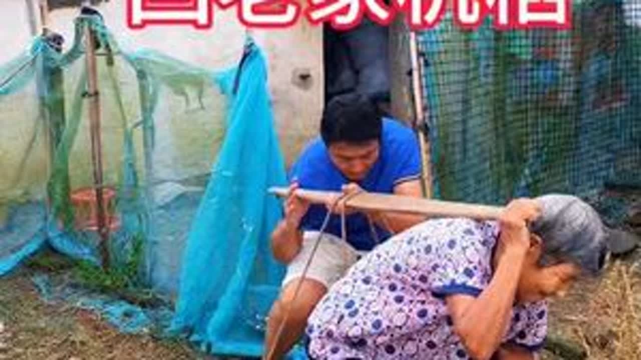 国庆节回老家机稻，帮妈妈干点小活， 看看农村老年人一天生活是什么样的？#我的乡村生活  #农村生活 #妈妈 #乡村生活记录
