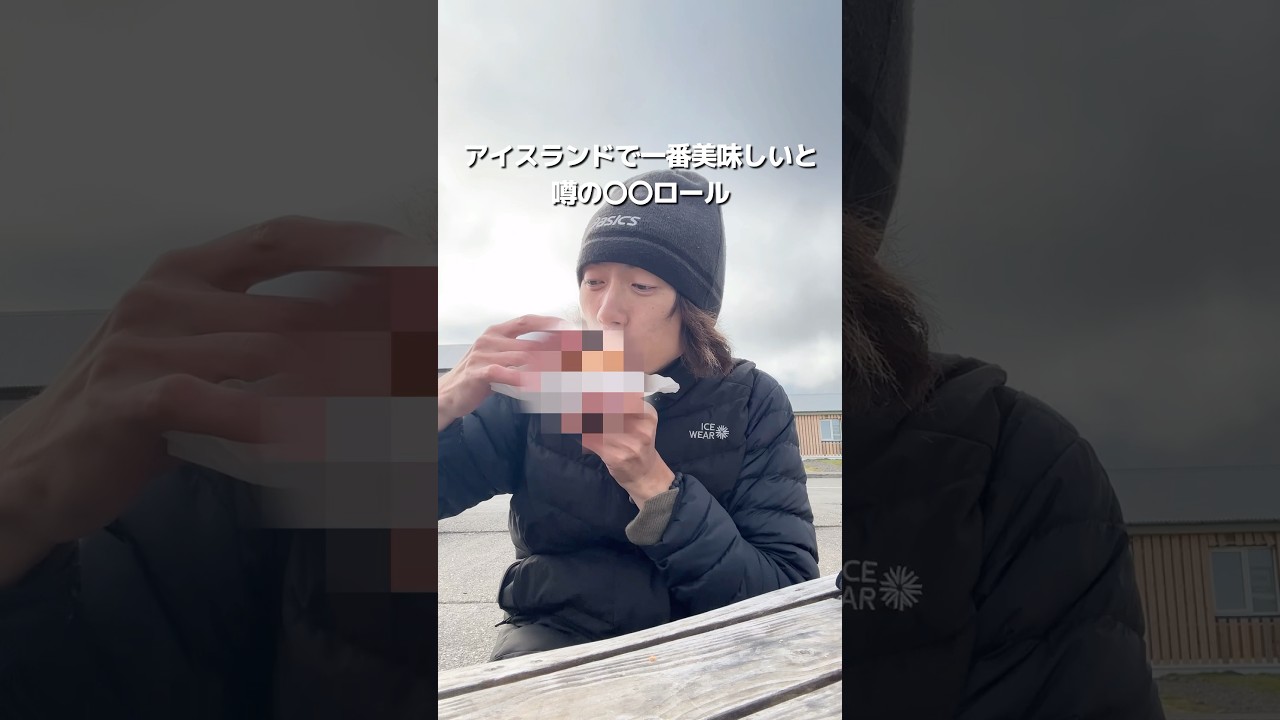 アイスランドで一番美味しいと噂の〇〇ロールが絶品すぎた!! #iceland #streetfood