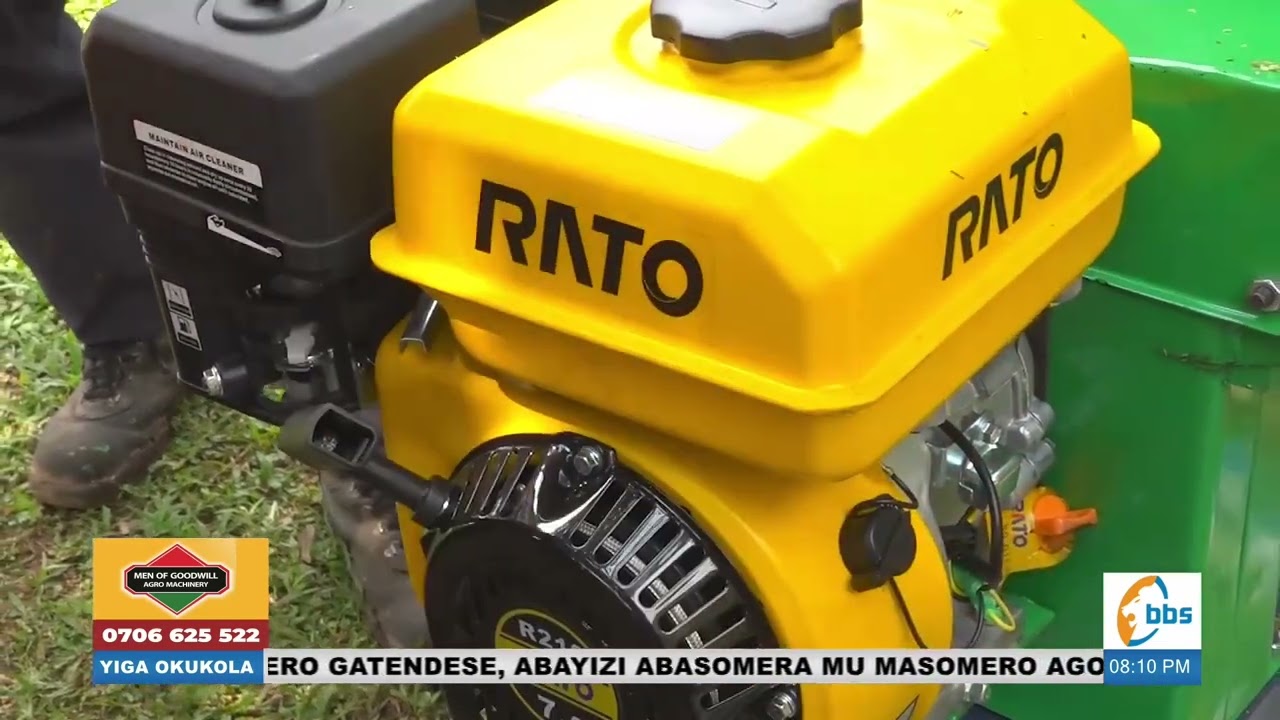 Wuuno akola obuuma obukongola kasooli, n'obusa omuddo n'emmere y'ebisolo #Yigaokukola