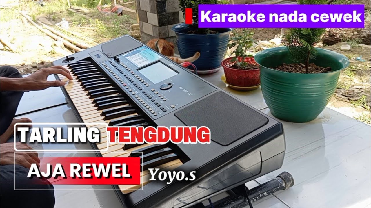 AJA REWEL (YOYO S) TARLING TENGDUNG KARAOKE NADA CEWEK