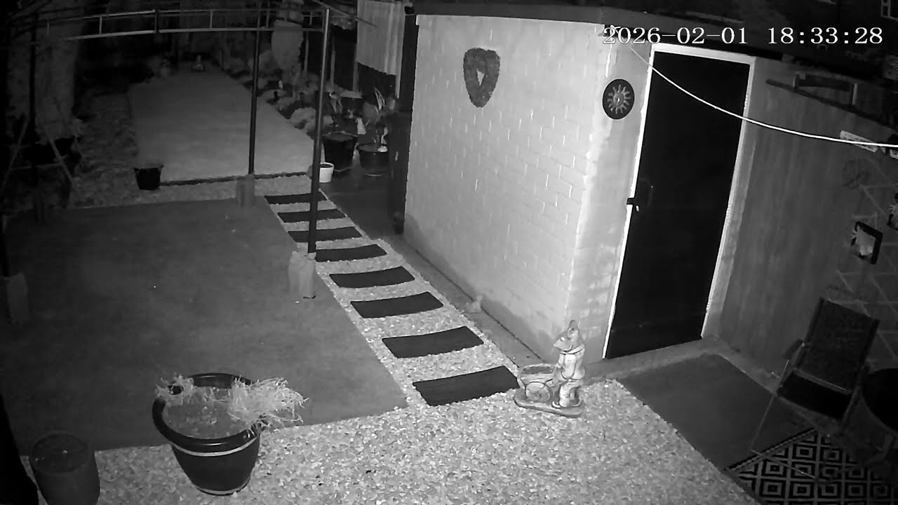 (1/2/2026) 18:33pm HULL (Uk) BYC [0496]