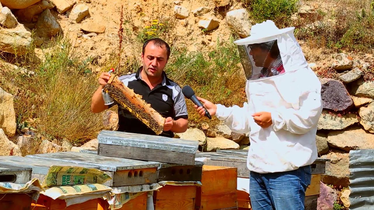 Fazla Mesai Anzer Balı Özel Bölüm