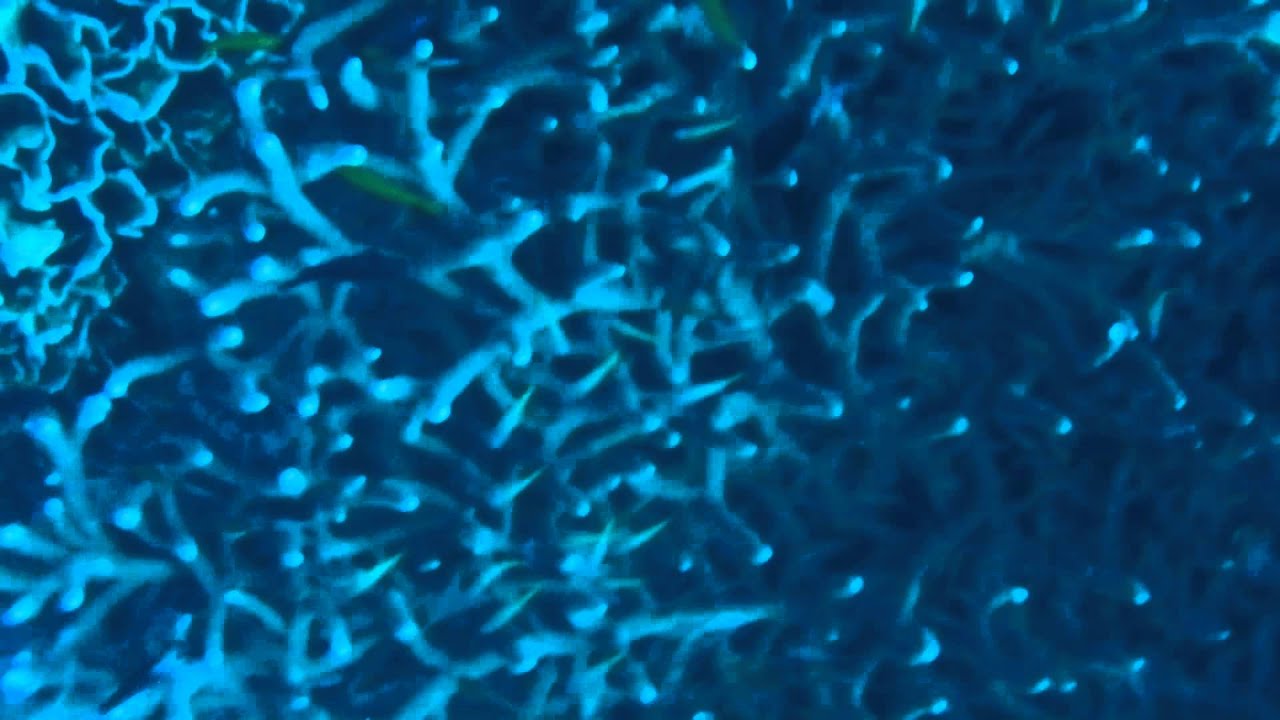 DSCN7857