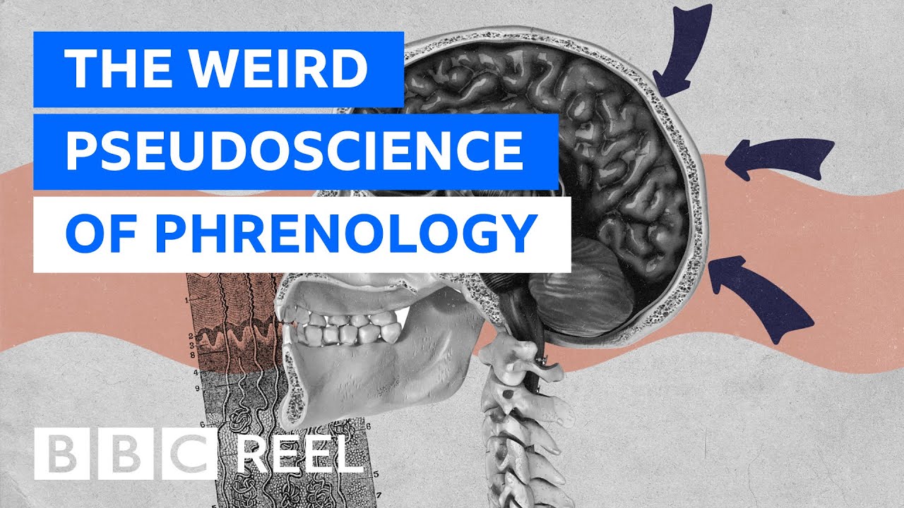 Phrenology: The weirdest pseudoscience of them all? - BBC REEL