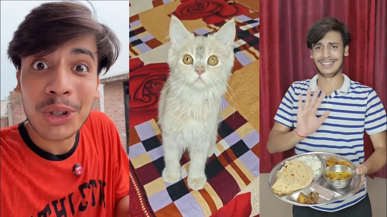 Kurta fad Holi || catty is gon || Holi is on || Shreyansh Ki Comedy Funny Video 
