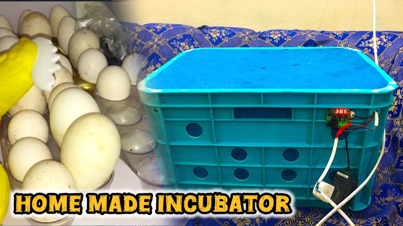 I Made an Incubator to Hatch Turkey & Duck Eggs || Making an Incubator || انڈوں سے چوزے تک 🐣🐣🐥 