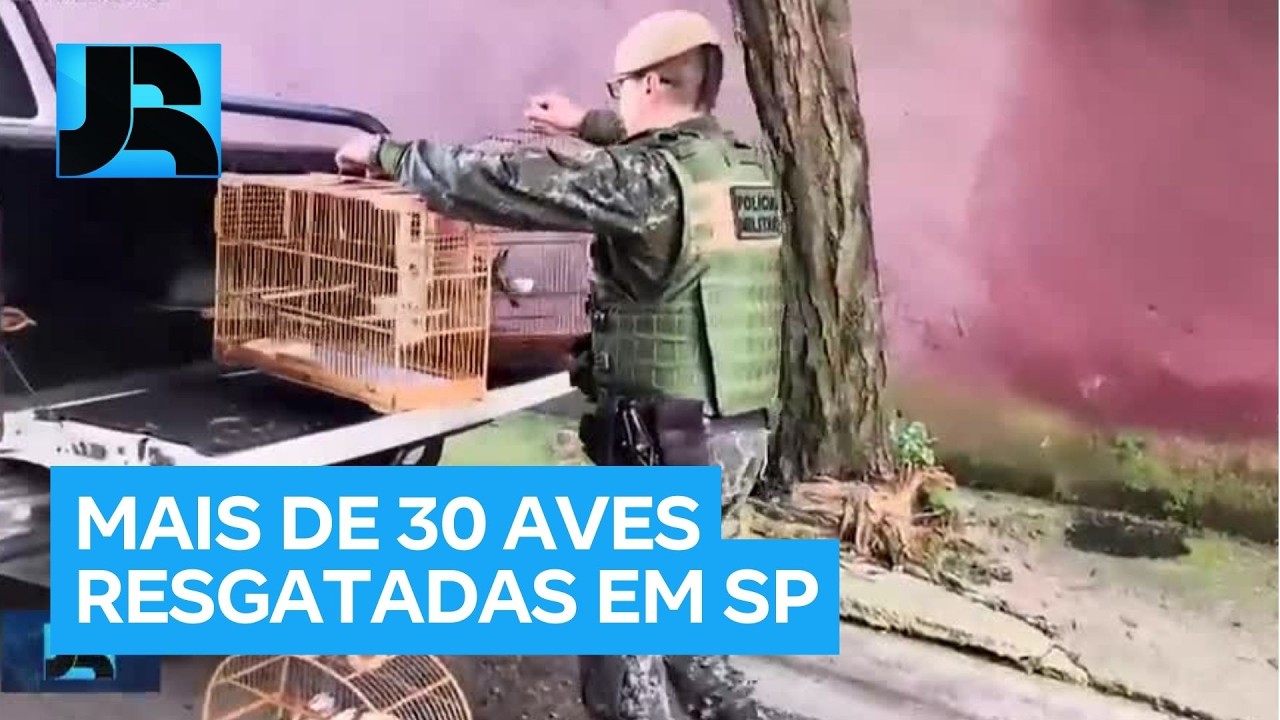 Operação da Polícia Ambiental resgata mais de 30 aves em SP