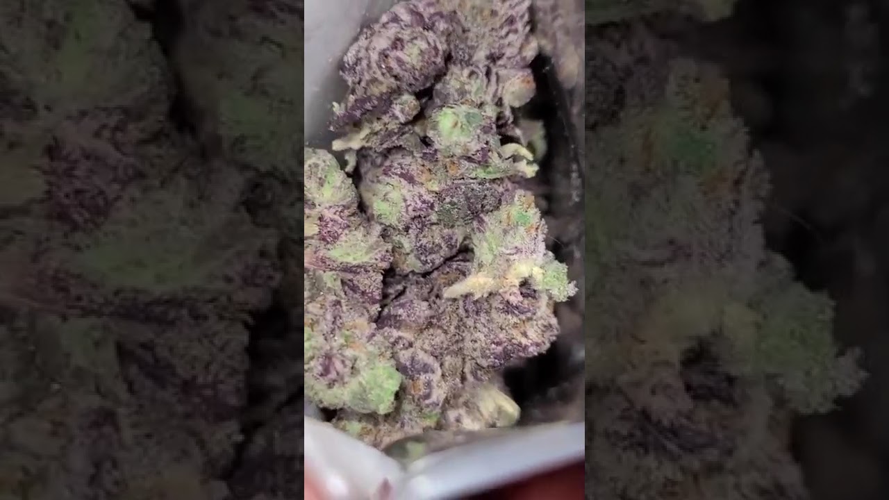 #OG DARK PURPLE KUSH INDIA