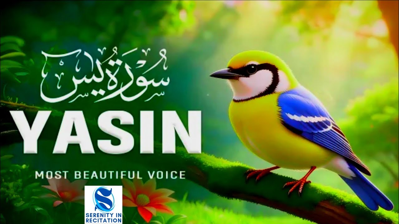 MOST BEAUTIFUL QURAN RECITATION TO CALM YOUR SOUL | YASIN Surahسورة يس | Quran| SERENITY  RECITATION