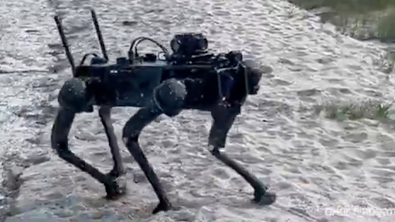 'Black Mirror' Robot Dogs To Patrol U.S. Border