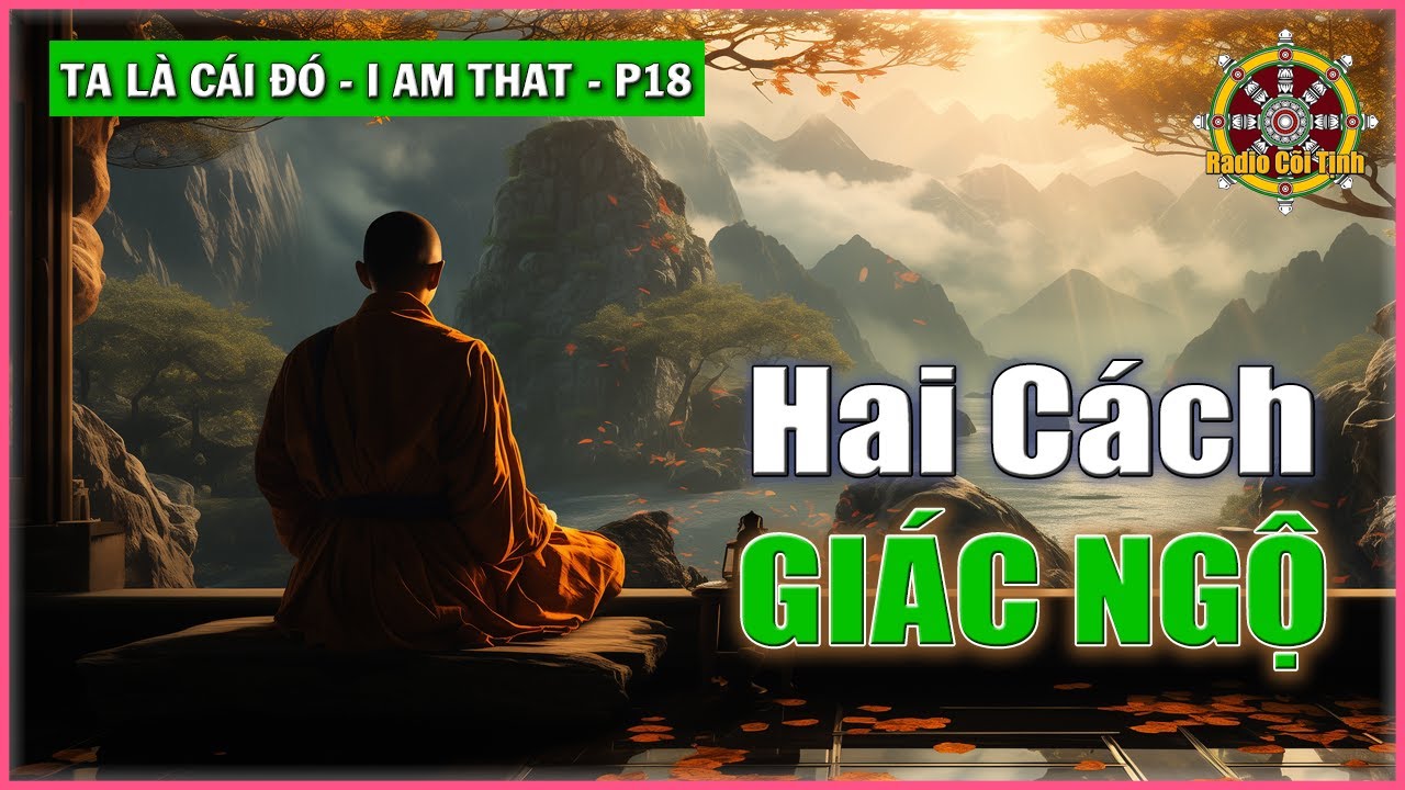Hai cách Giác Ngộ Sự Hiện Hữu mang tính Vũ Trụ  | Ta là Cái Đó – phần 18