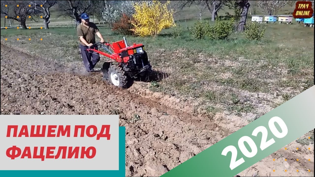 Вспашка 10 соток под фацелию 2020 мотоблоком FORTE 10 л.с.
