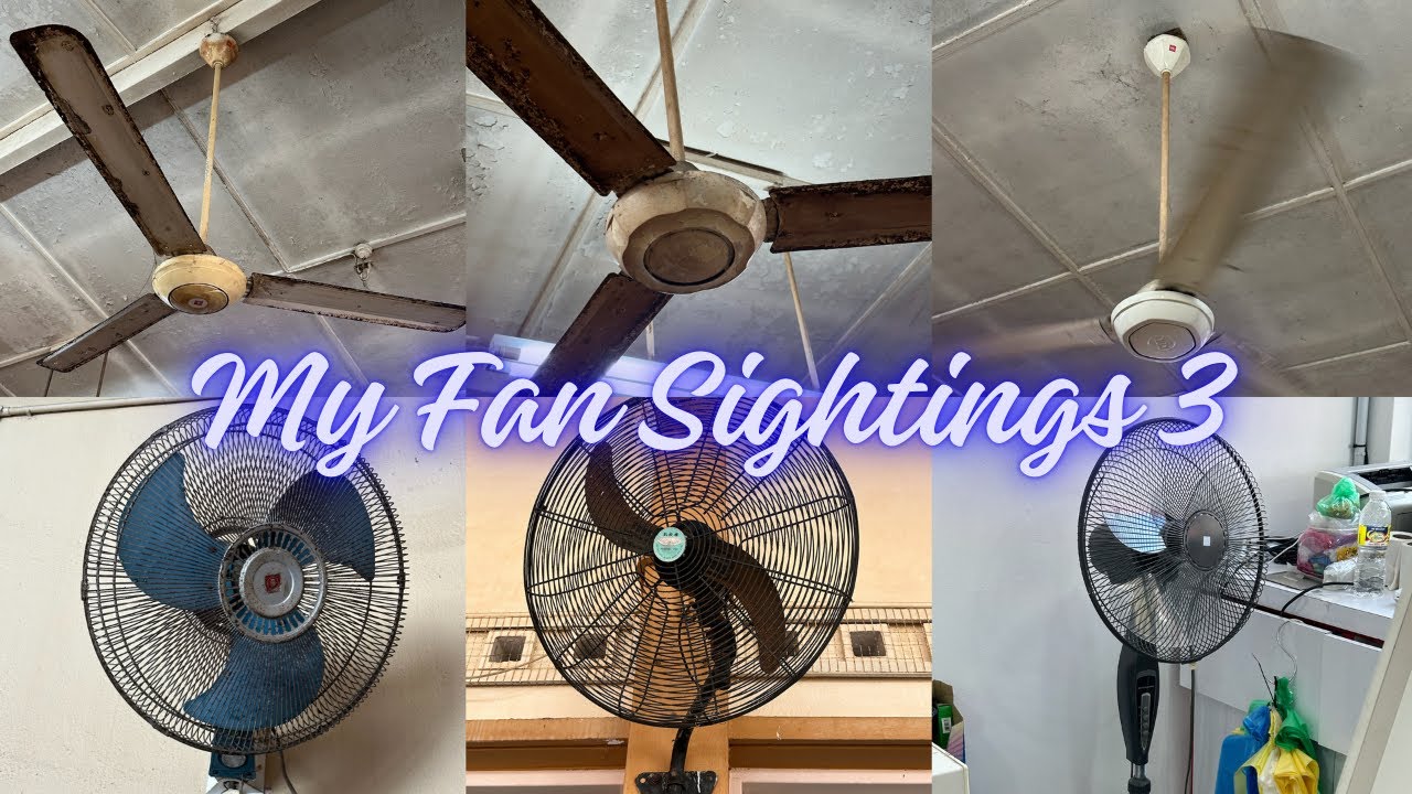 My Fan Sightings Slideshow 3: Fans I spotted in 2024