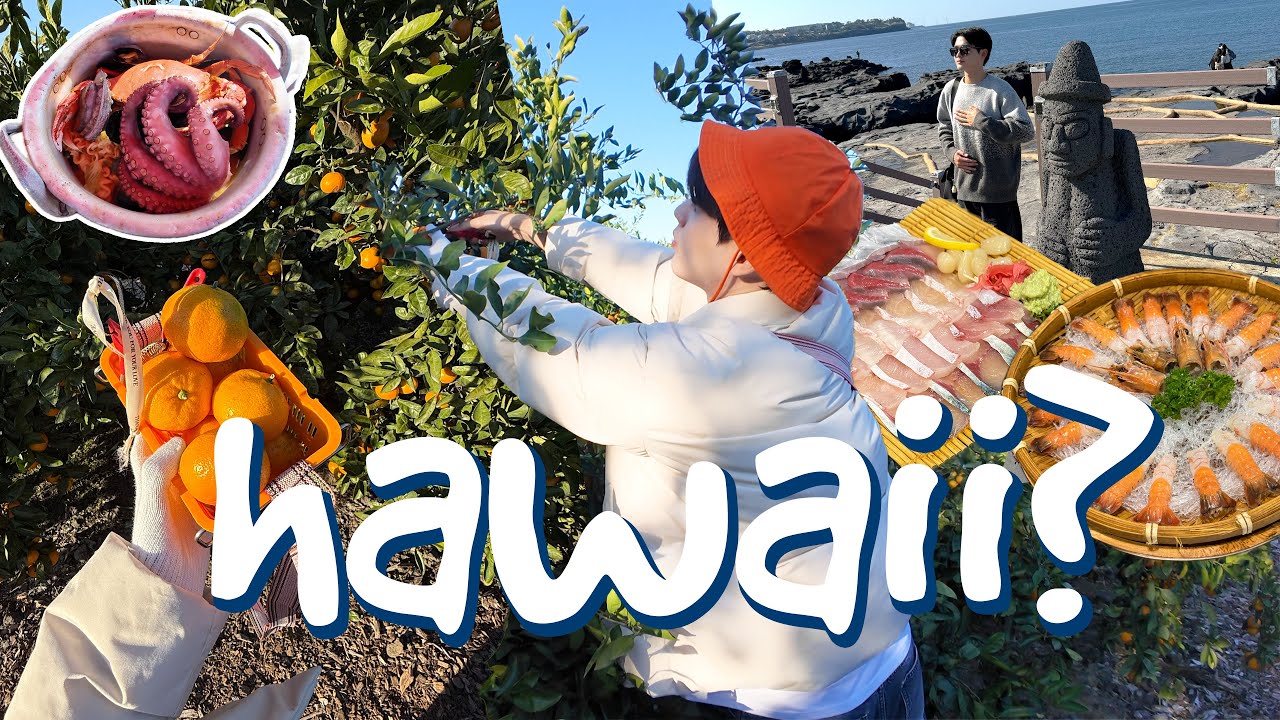 QUAY LẠI JEJU CHỈ ĐỂ LÀM ĐIỀU NÀY!?