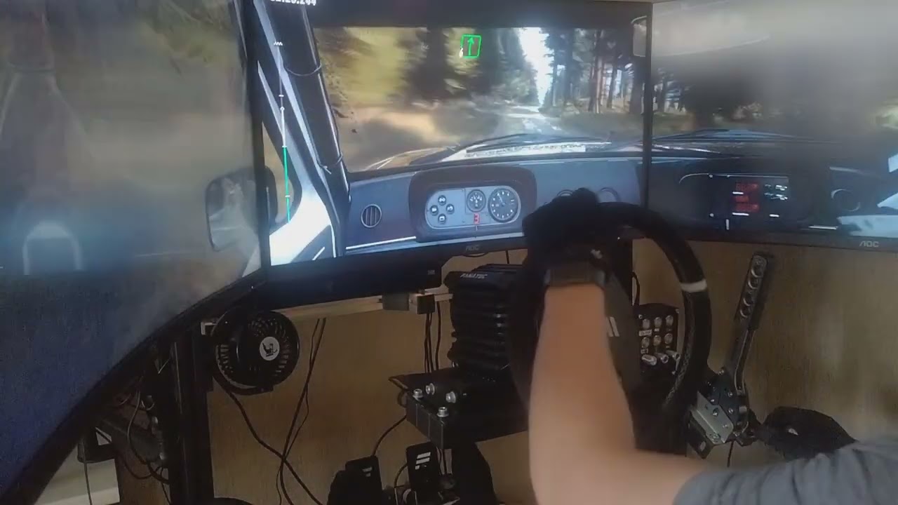DiRT Rally 2.0