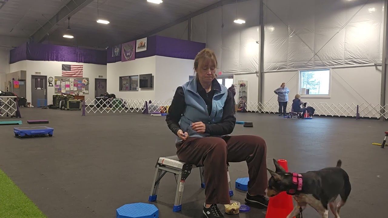 1/22 pilates perch with food distraction 