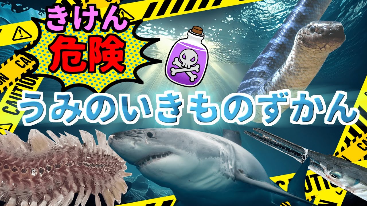 【子供向け 水族館】危険！海の生き物　ガンガゼ、オニダルマオコゼ、ウミヘビ、ダツ【危険生物】