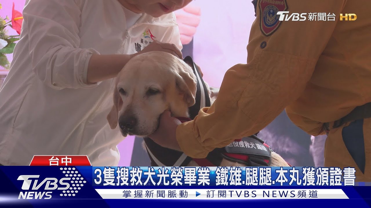 3隻搜救犬光榮畢業 鐵雄.腿腿.本丸獲頒證書｜TVBS新聞 @TVBSNEWS01