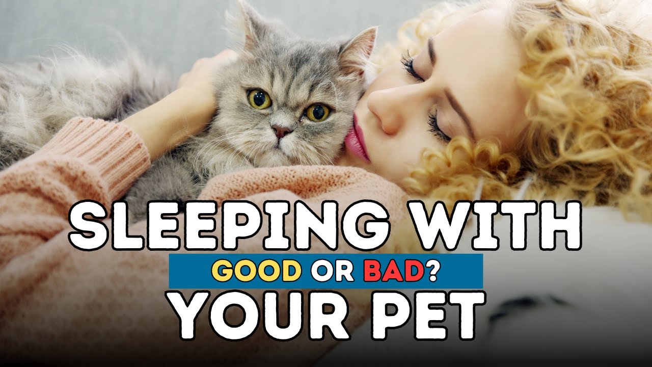 Sleeping With Your Dog: Good or Bad?