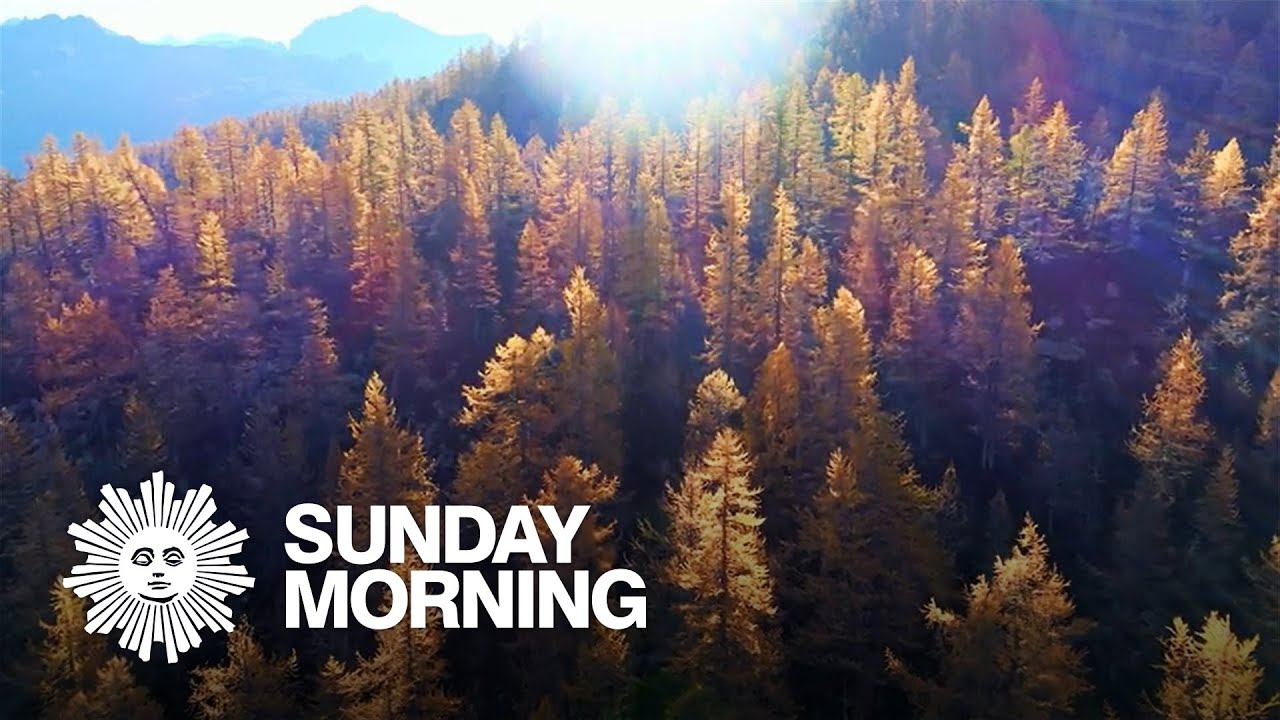 Fall foliage season: Time for 