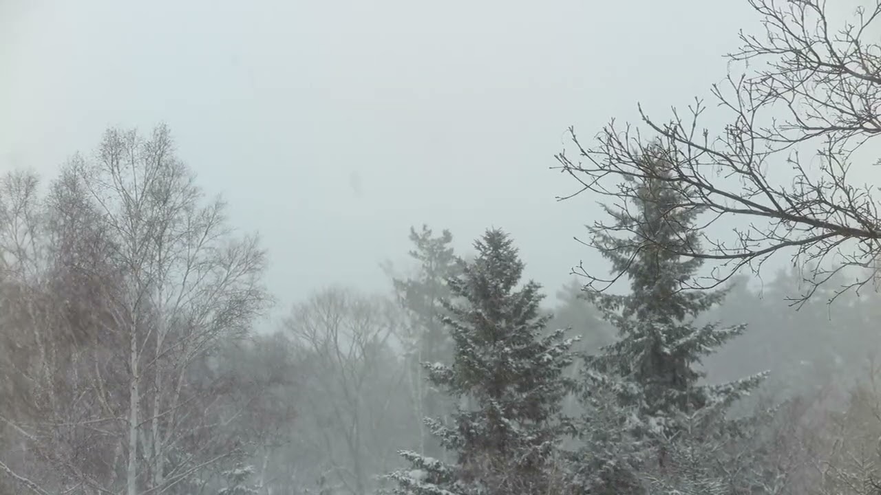 コロボックルの里・川湯温泉＠北海道　2026/3   HD 1080p