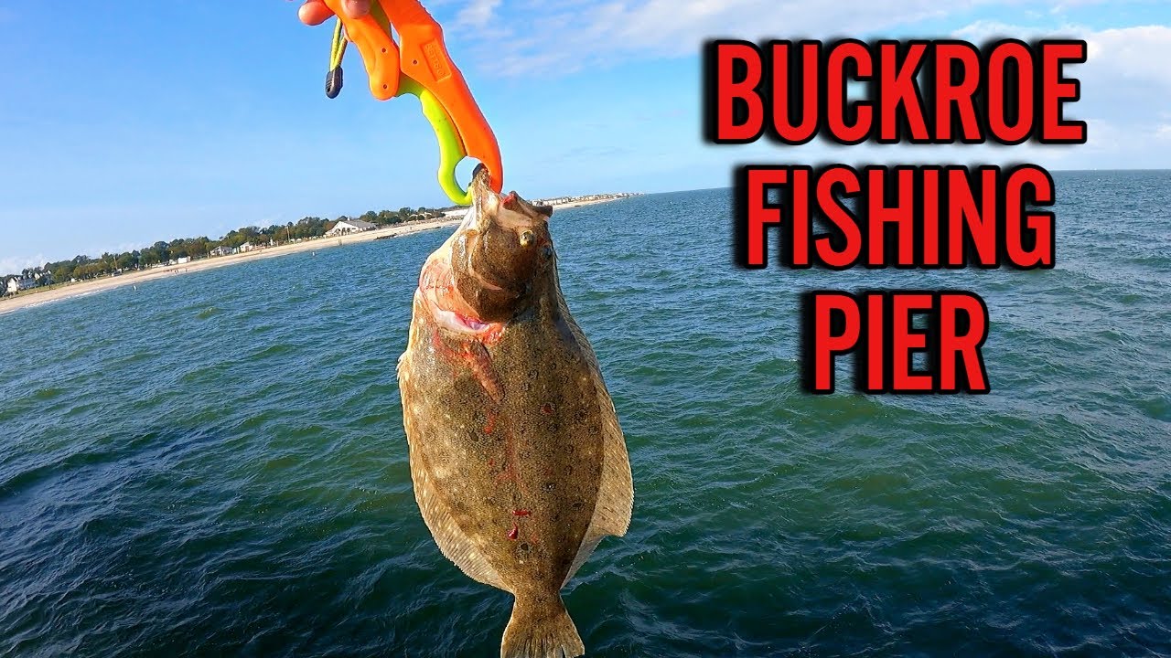 BUCKROE FISHING PIER! CATCHING BIG FLOUNDER at James T Wilson Pier! BLUEFISH, CROAKER HAMPTON VA!