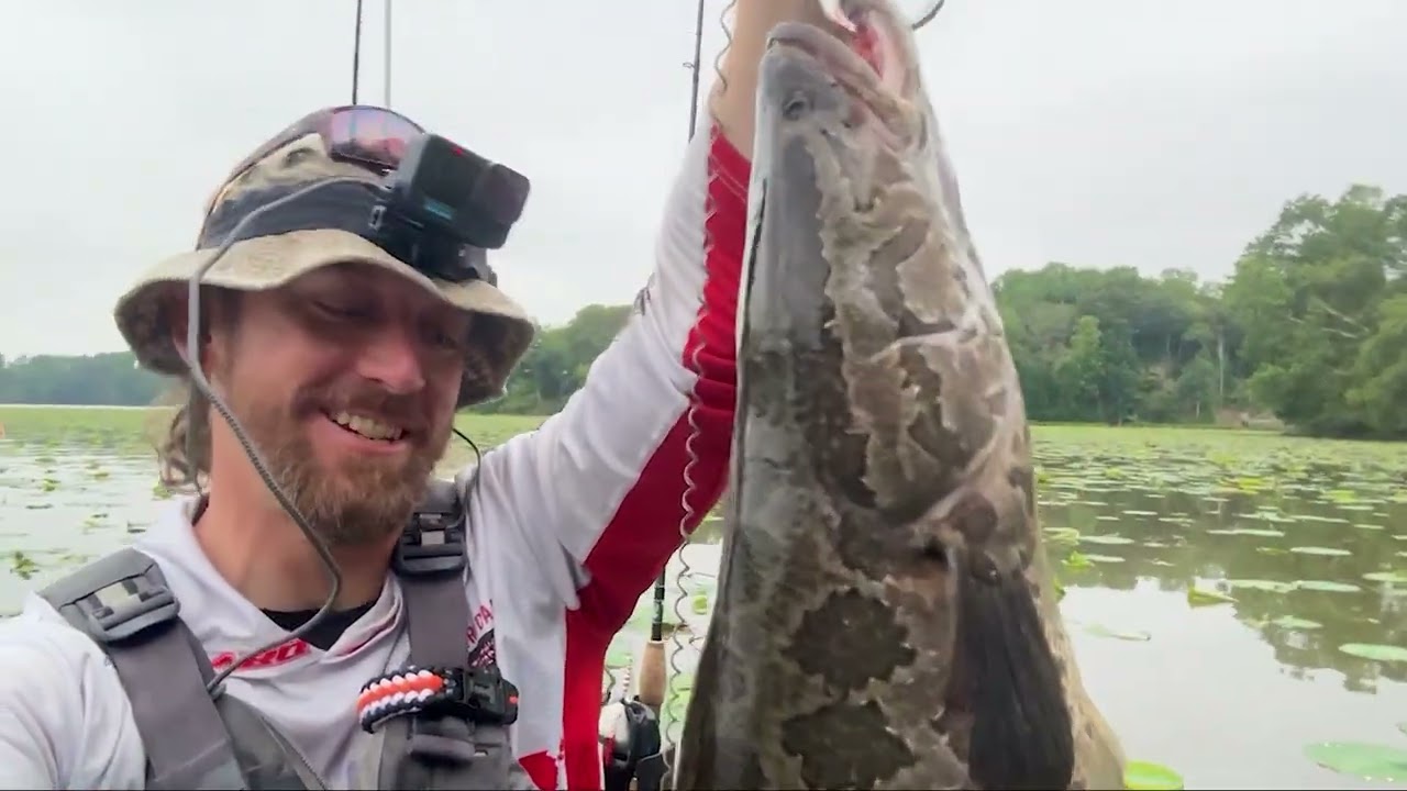 My NEW FAVORITE Snakehead ROD! Early Summer, Cold Front Snakehead and Multi-Species Fishing