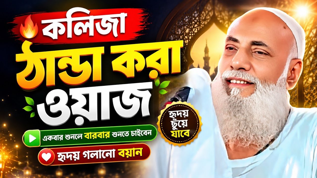 Pirzada Omar Siddiqui new waz || কলিজা ঠান্ডা করা ওয়াজ || পীরজাদা ওমর সিদ্দিকী হুজুরের নতুন ওয়াজ